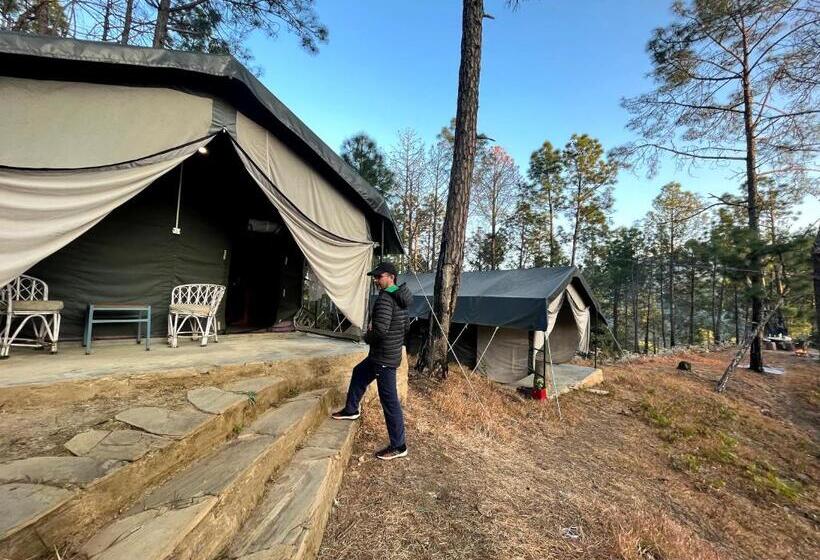 Standard Tent, Glampinn Woods