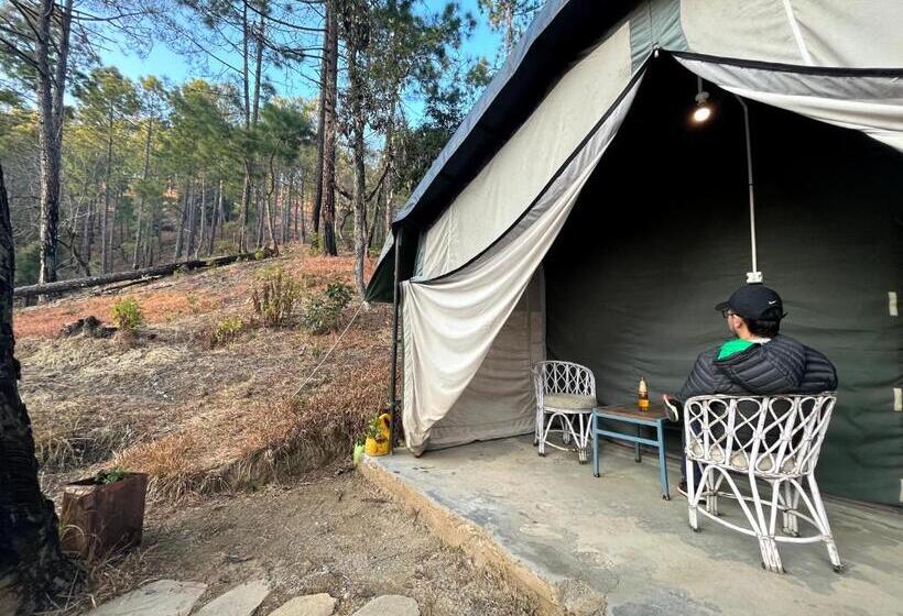 كوخ قياسي, Glampinn Woods