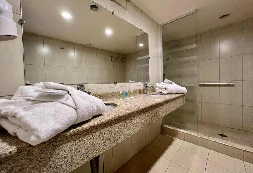 스위트 도시 전망, Sky Magic View