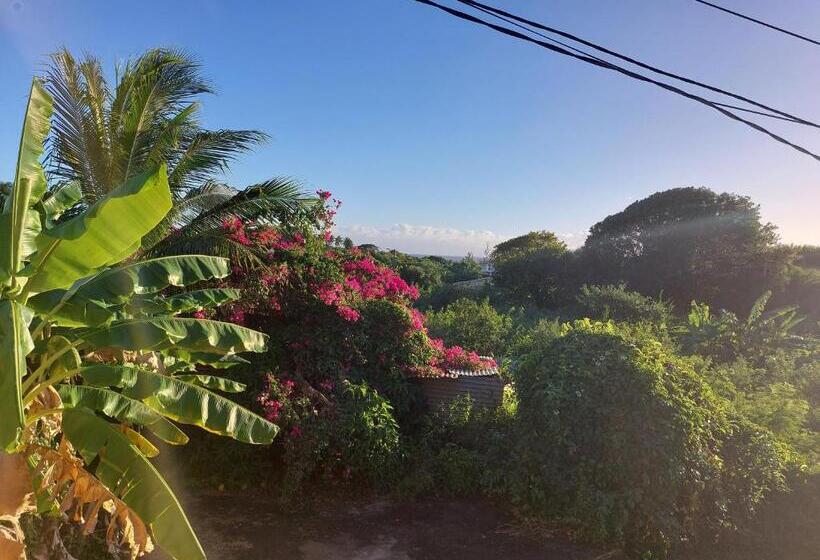 اتاق استاندارد, La Jéméli