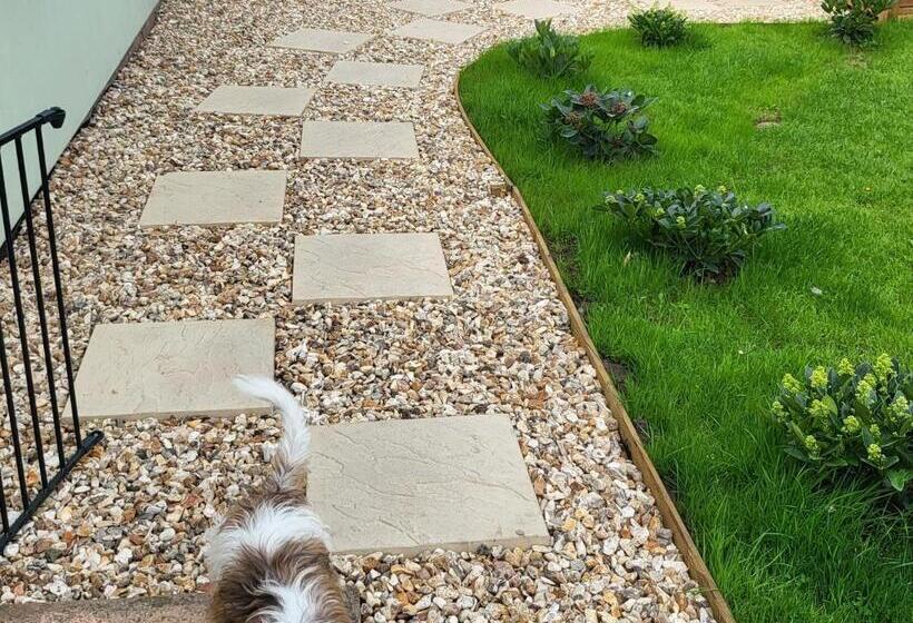 غرفة قياسية, Peace And Quiet On The Limes