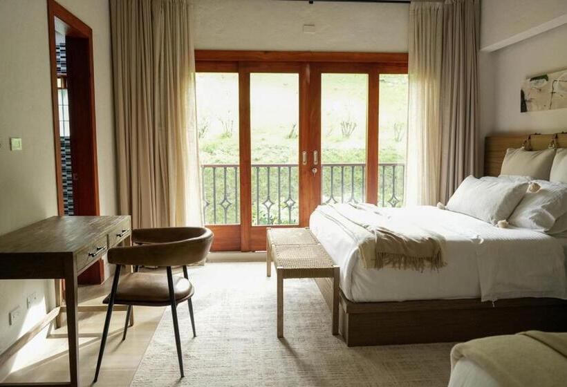 スタンダードルーム, Mountains Of Hope