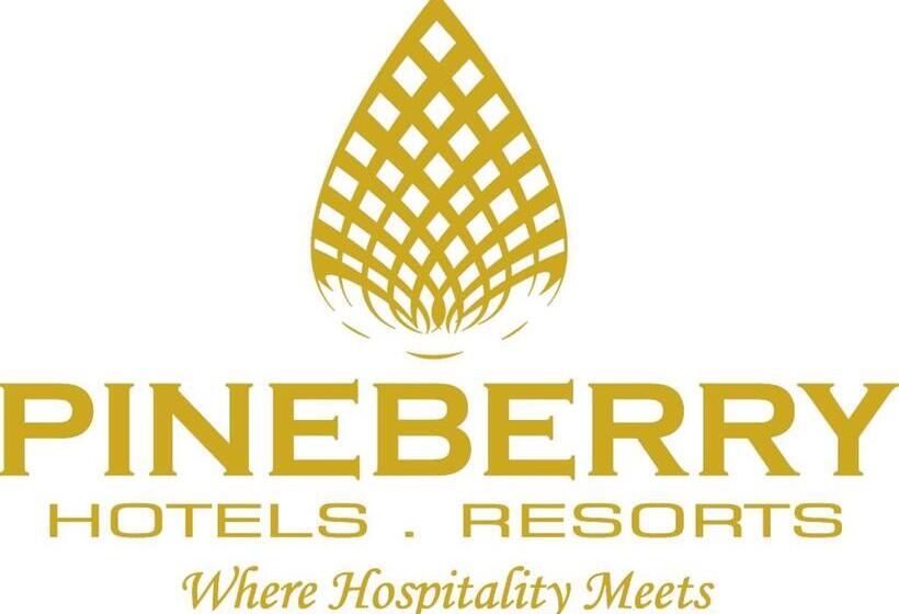 غرفة سوبيريور سرير كينج, Pineberry Hotels   Near Golden Temple