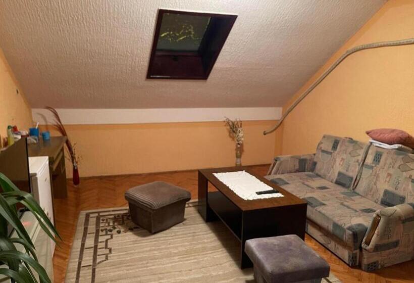 اتاق استاندارد سه نفره, Lavrnić