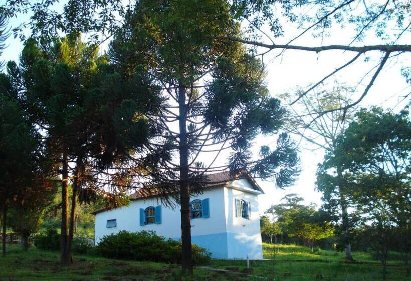 침실 2개 주택, Villa Druida