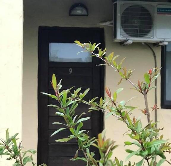 标准三人间, La Omi