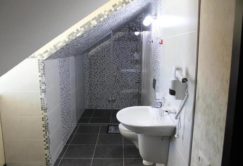 اتاق استاندارد چهار تخته, Lion