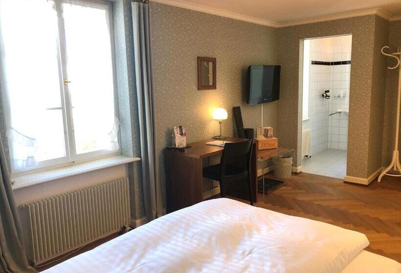 חדר סטנדרט יחיד, Schloss Freudenfels