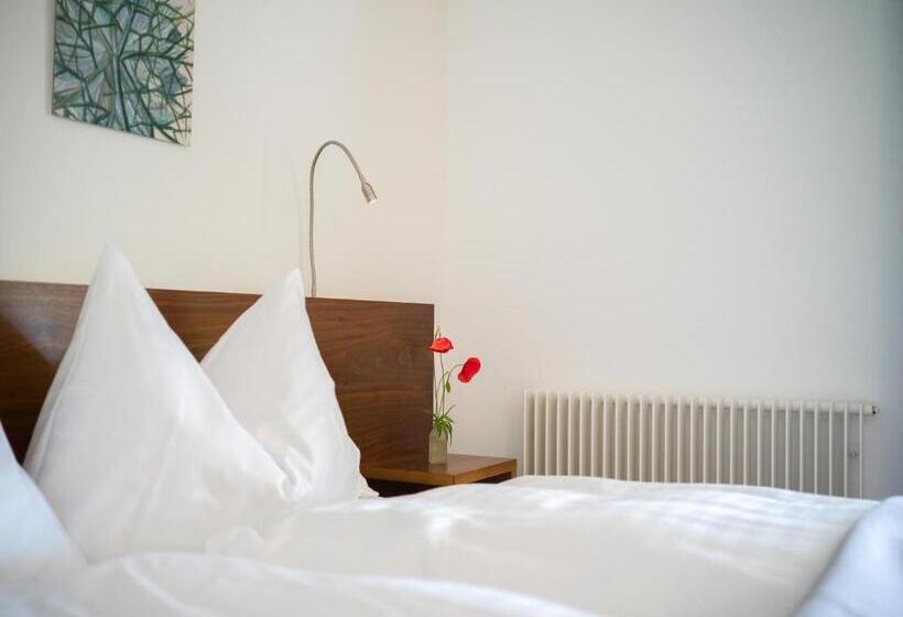 חדר סטנדרט יחיד, Schloss Freudenfels