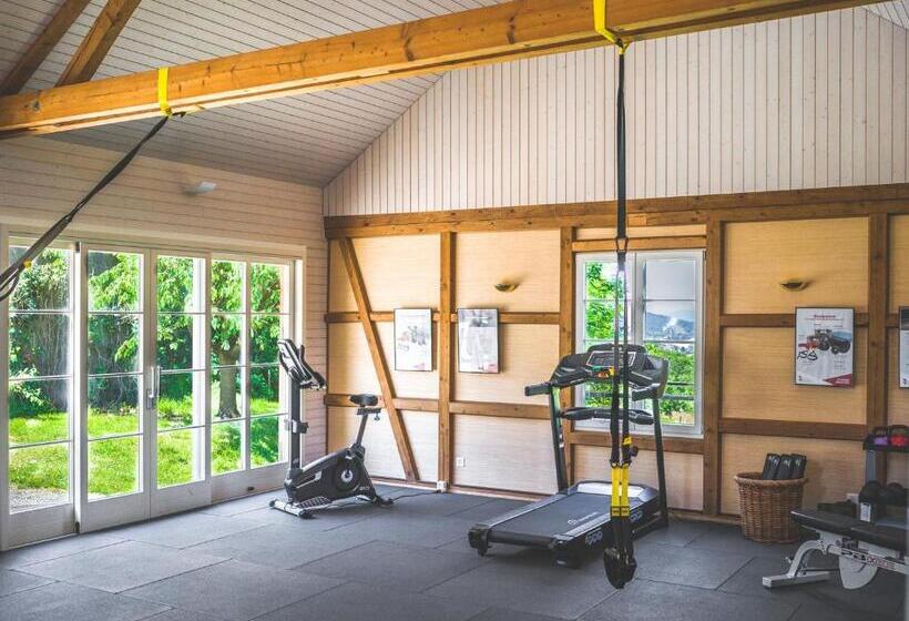 חדר יחיד נוף לגינה, Schloss Freudenfels