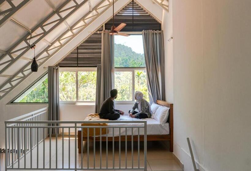 Семейный Номер, Wild Brooke Hut