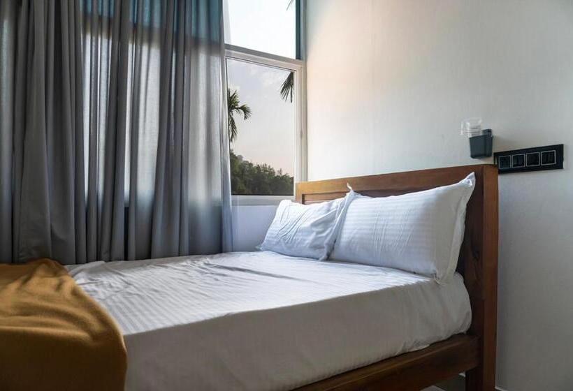 ファミリールーム, Wild Brooke Hut