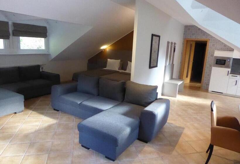 إستوديو قياسى, Appart Hotel Gwendy