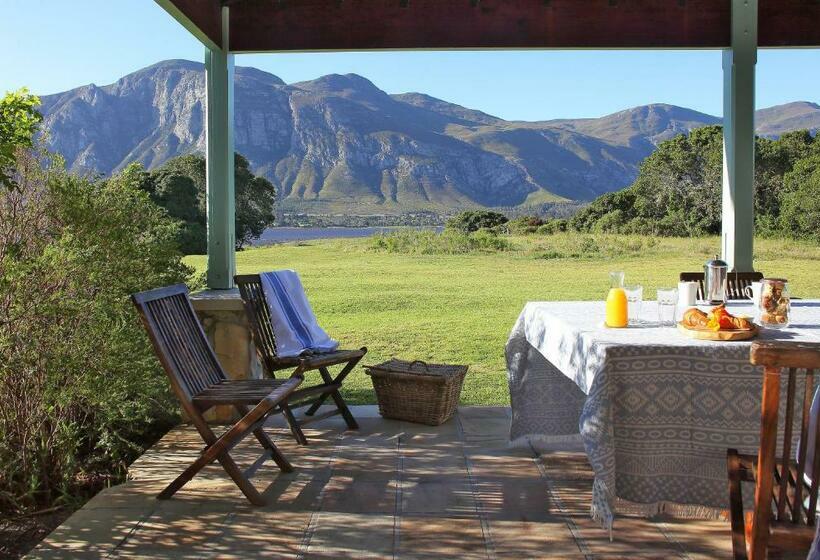 1ベッドルームハウス, Coot Club