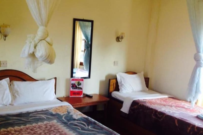 اتاق استاندارد یک نفره, Jungle Vista