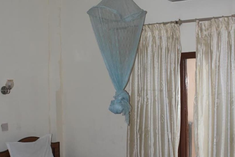 اتاق استاندارد, Jungle Vista