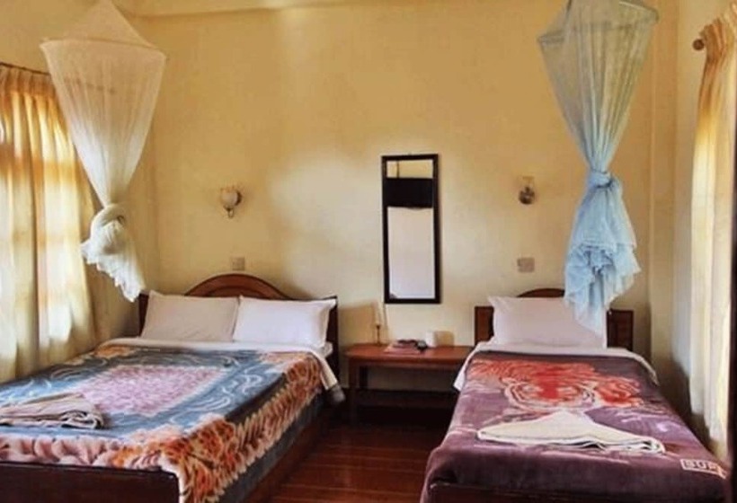 اتاق استاندارد, Jungle Vista