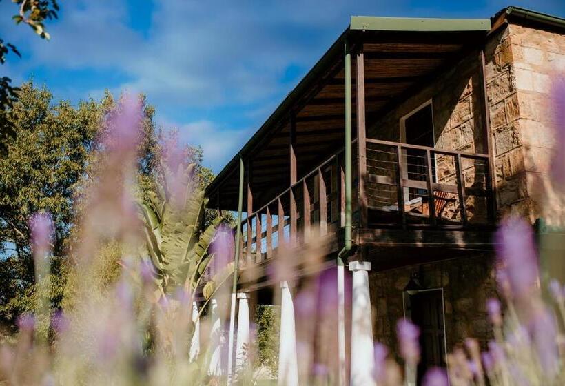 Дом 3 Спальни, Swartvlei Guest Farm