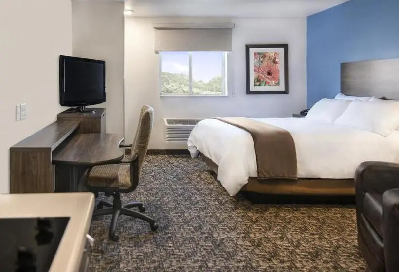 اتاق استاندارد برای معلولان, My Place Hotel Grand Rapids Mn