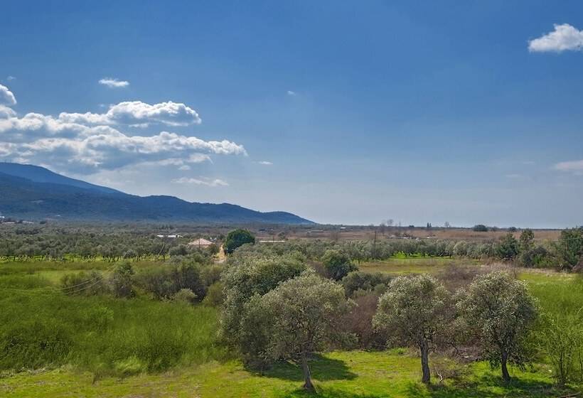 חדר סופריור, Thassian Riviera