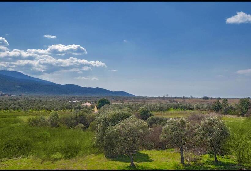 חדר סופריור, Thassian Riviera