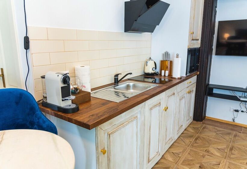 １ベッドルームのスーペリアアパートメント, Opera Apartments