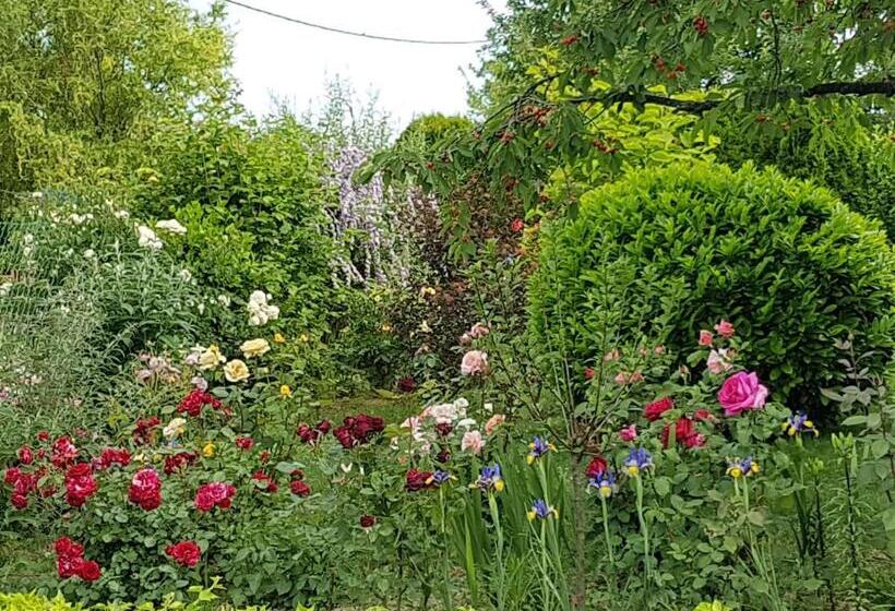 آپارتمان 1 خوابه با تراس, Ginavilla