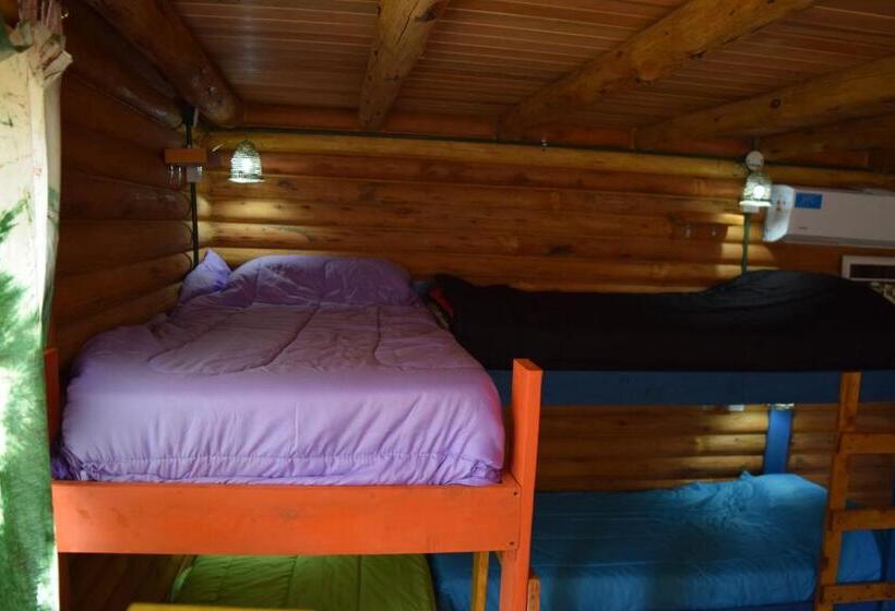 سرير فى غرفة مشتركه, Infinito Chill0ut