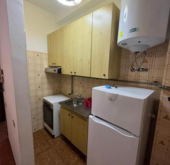 Appartement 1 Chambre Rez-de-Chaussée, Walhalla