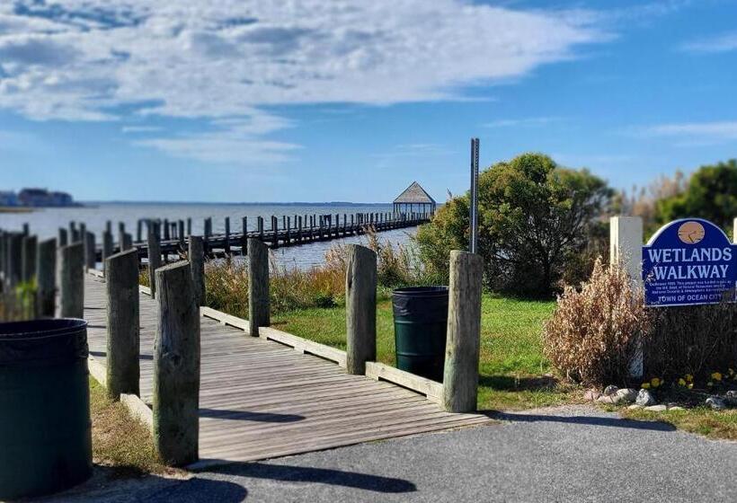 Апартаменты 3 Спальни, Mayfair Beach 503