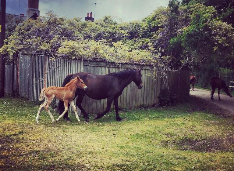 豪华房间, Belle Vue Farm B&b