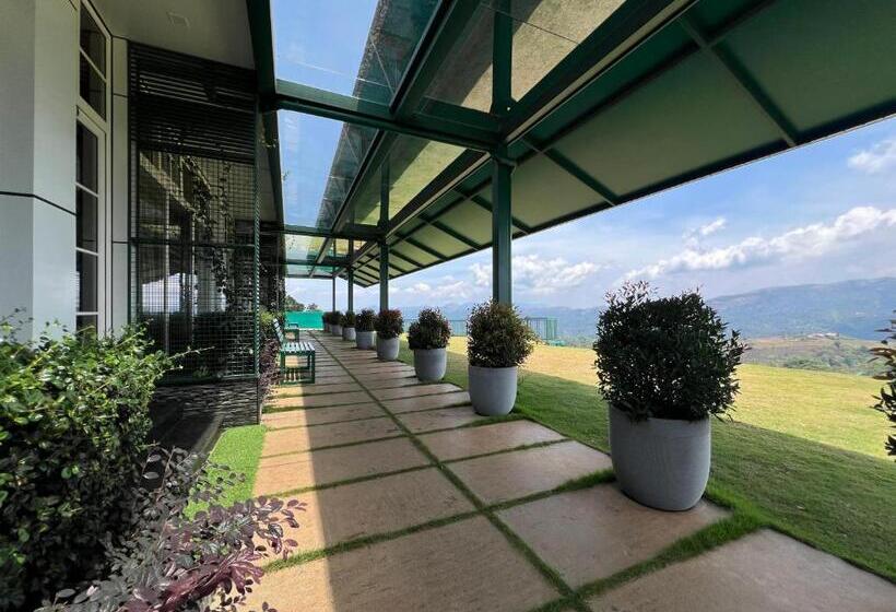 家庭套房, Cloudy Court Resort