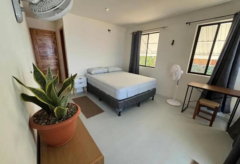 オーシャンビューデラックスルームバルコニー付き, Stella Mar Oceanfront