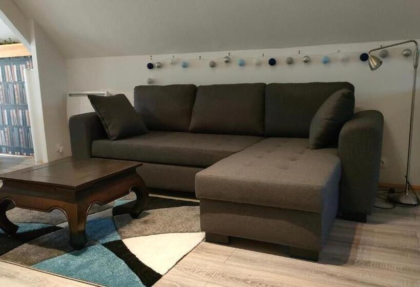 豪华房间, La Cifouille