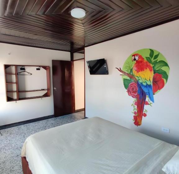 이코노미 룸, La Perla Del Caribe