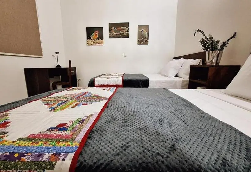 اتاق استاندارد سه نفره, Volarte Hostal