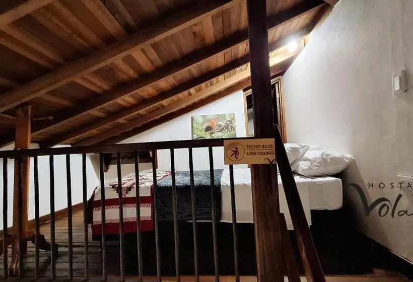 اتاق لوکس, Volarte Hostal