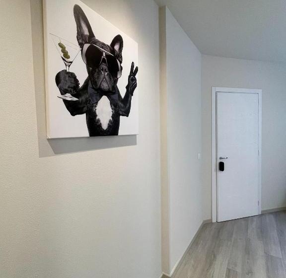 جناح جونيور عائلى, 7suites