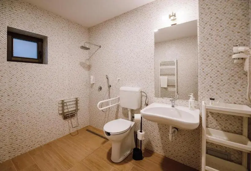 Habitació Estàndard Adaptada per a Discapacitats, Pensiunea Sylvania