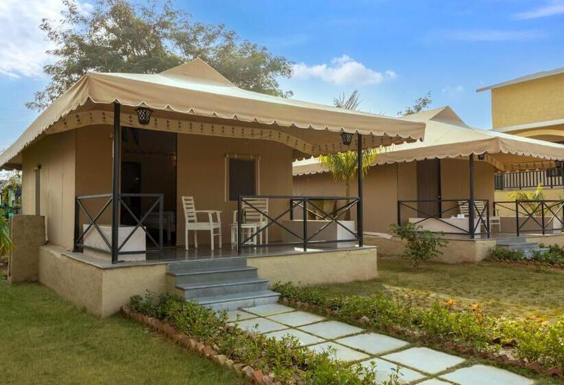 Tenda Padrão, Sterling Rewild Sariska