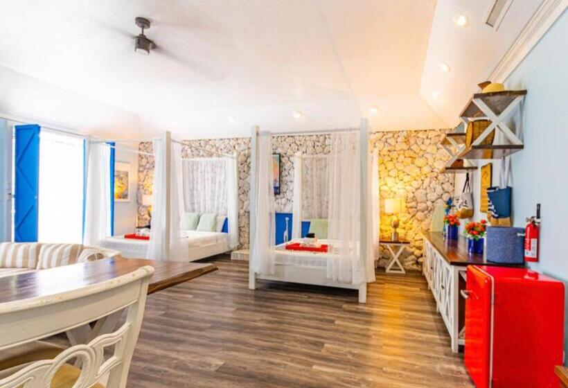 استودیوی استاندارد با چشمانداز دریا, Studio Palms Bc