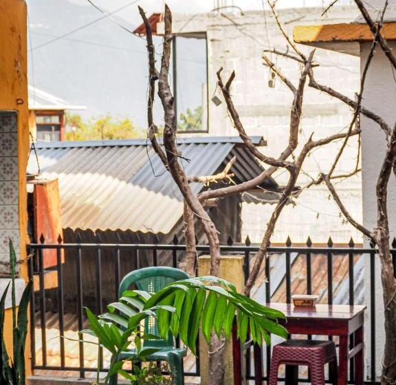 اتاق استاندارد با سرویس بهداشتی مشترک, Joyas Del Sol