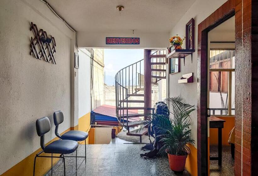 اتاق استاندارد با سرویس بهداشتی مشترک, Joyas Del Sol