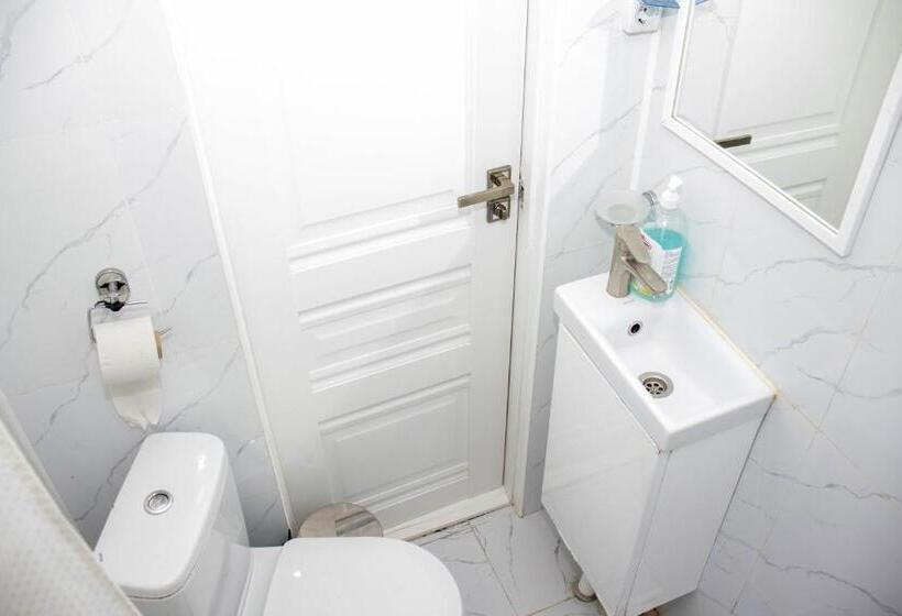 اتاق استاندارد با تخت بزرگ, Ag