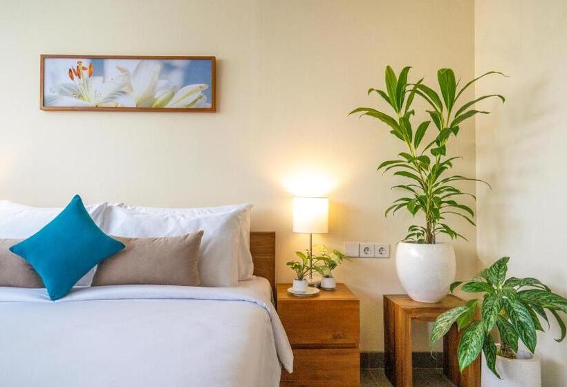 Номер Стандарт, The Vinaya Boutique