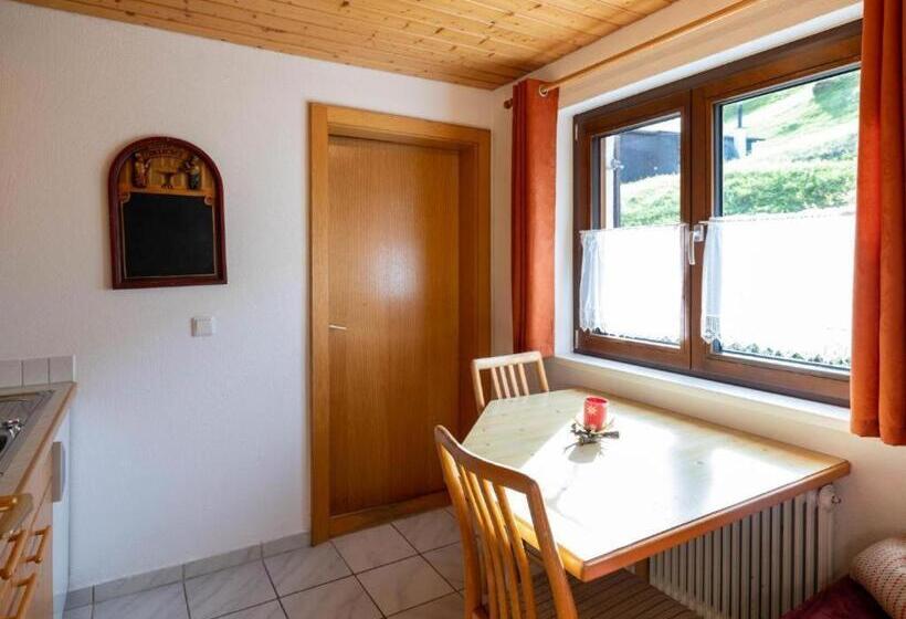 آپارتمان 1 خوابه, Alpinechalet Zigjam