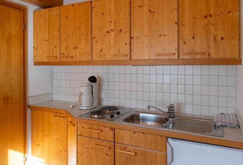 1 Sovrums Lägenhet, Alpinechalet Zigjam