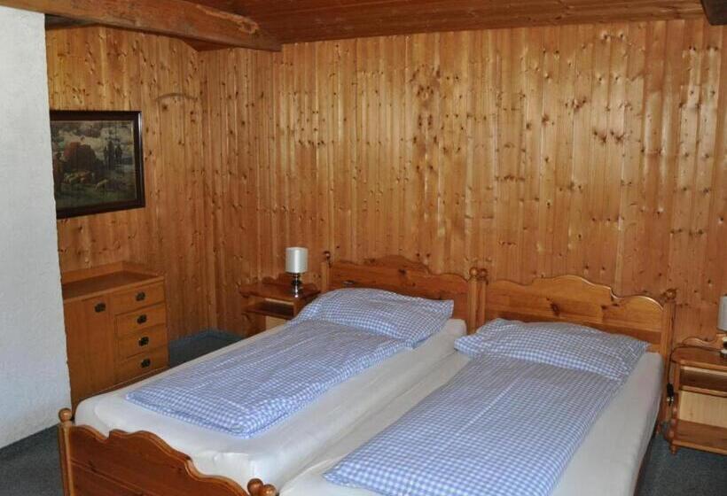 3 Sovrums Lägenhet, Alpinechalet Zigjam