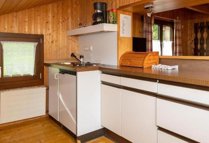 آپارتمان 3 خوابه, Alpinechalet Zigjam