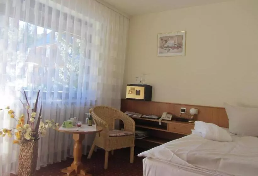 Standard Yhden Hengen Huone, Ferienhotel Schwarzwälder Hof